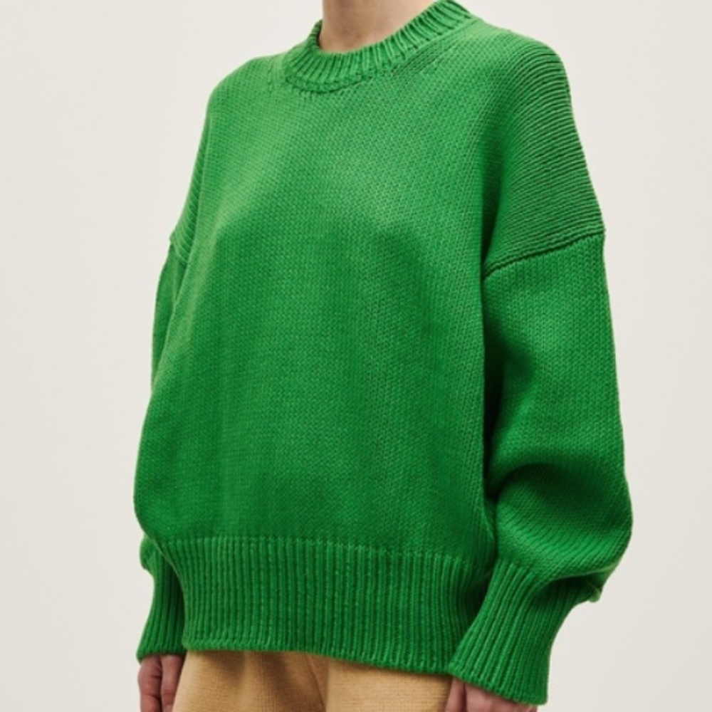 Babaa jumper no 16 Wild Fern